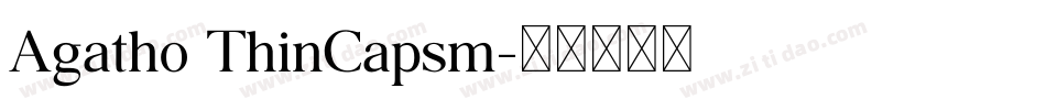 Agatho ThinCapsm字体转换
